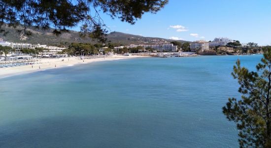 Porto Novo beach