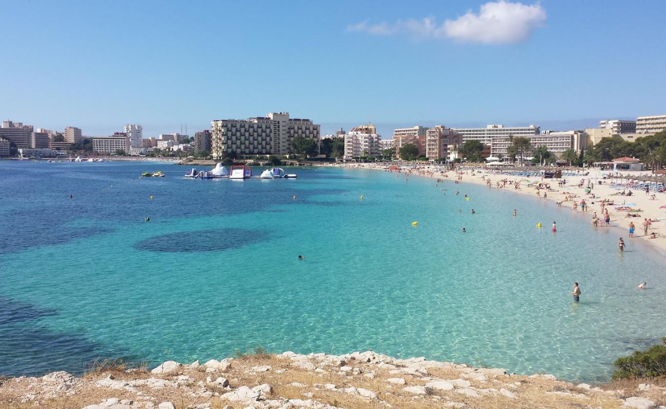 Фото Palmanova Beach 2 с золотистый песок поверхностью