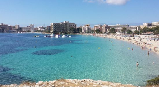 Palmanova Beach 2