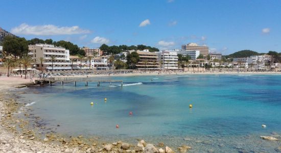 Playa Peguera