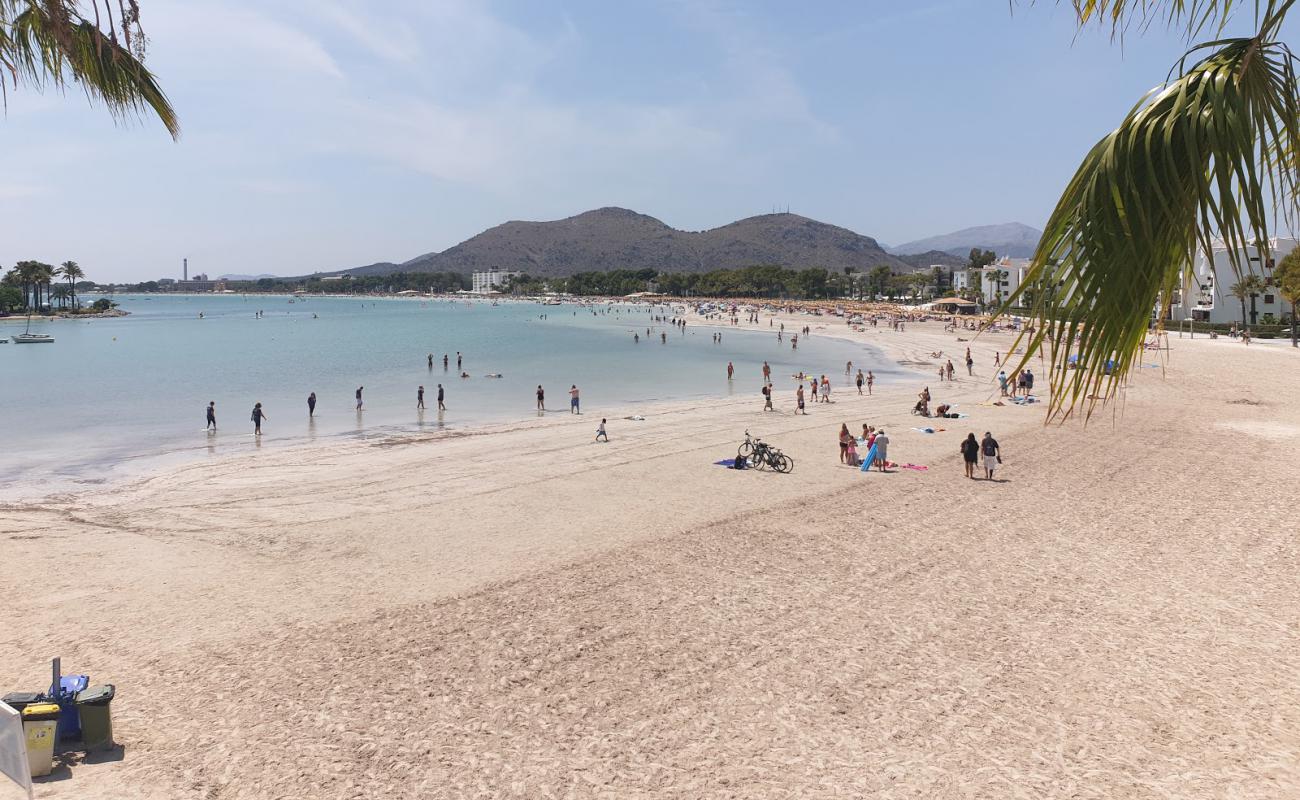 Фото Alcudia Beach с золотистый песок поверхностью