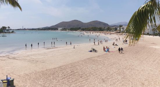 Alcudia Beach