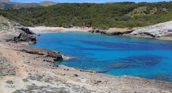 Cala des Matzoc