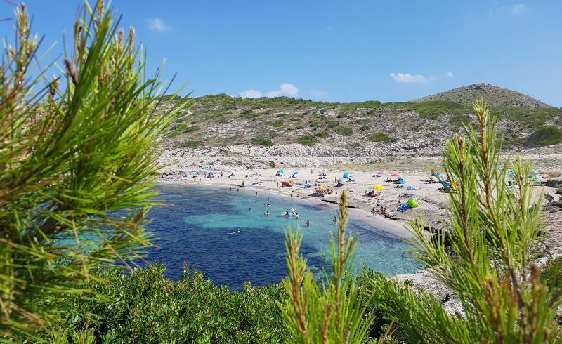 Фото Cala Mitjana с светлый песок поверхностью