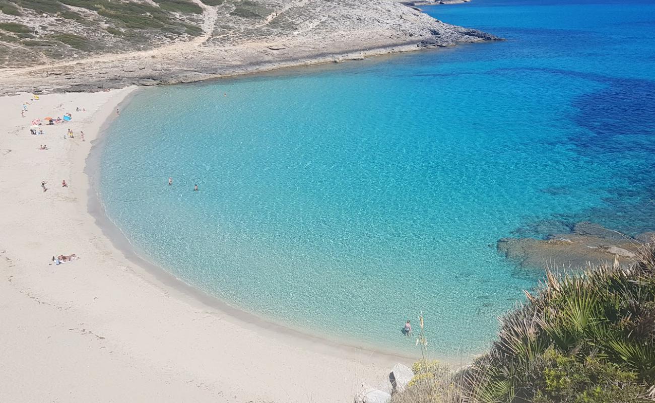 Фото Cala Torta с золотистый песок поверхностью