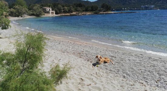 Platja des Port Vella