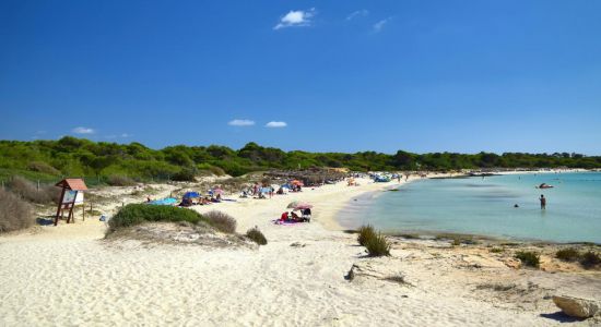 Platja d'es Dolc