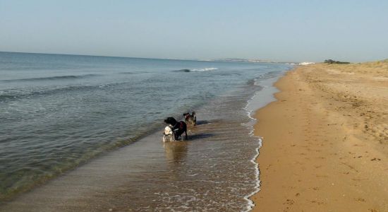 Playa del Pinet