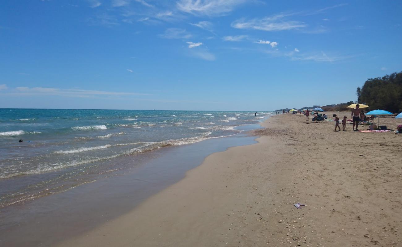 Фото Playa de Torrenostra с темный песок поверхностью