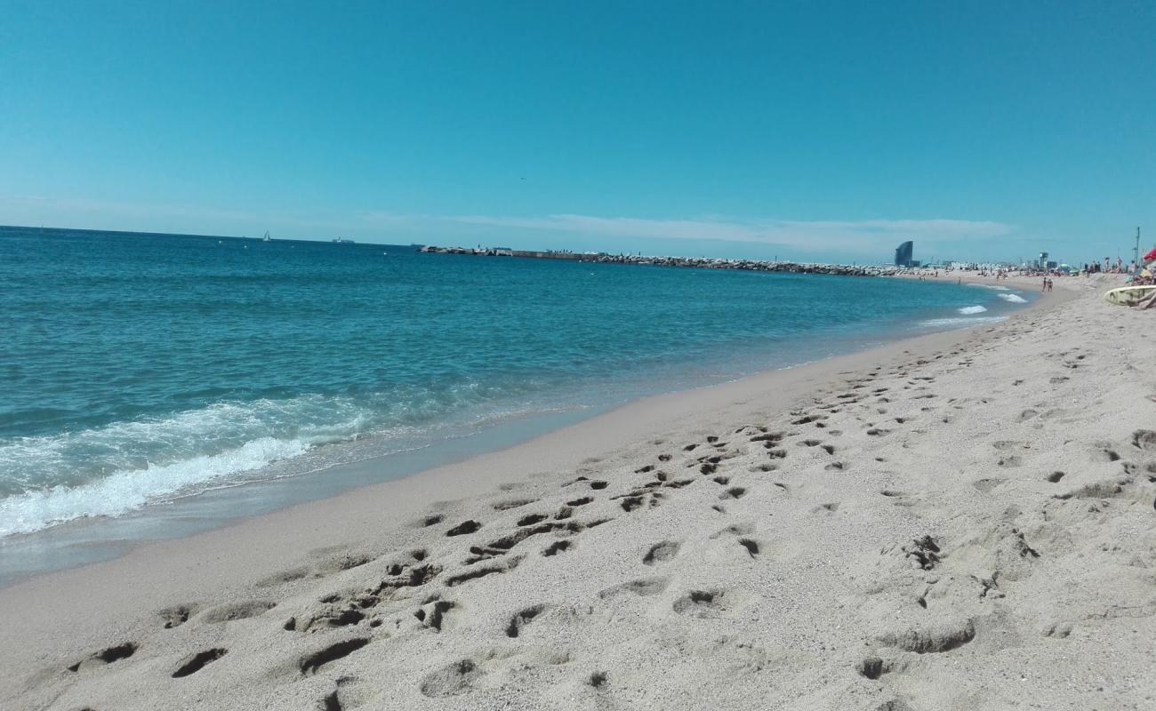 Фото Platja de la Mar Bella с золотистый песок поверхностью