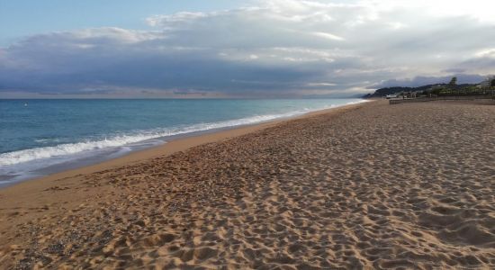 Platja dels Gossos