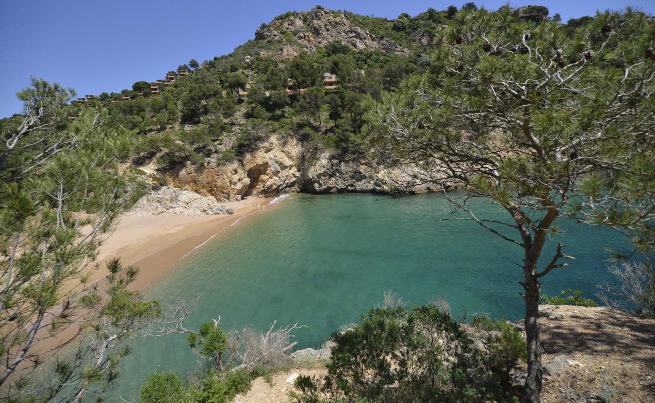 Фото Cala Pola с золотой ракушечник поверхностью