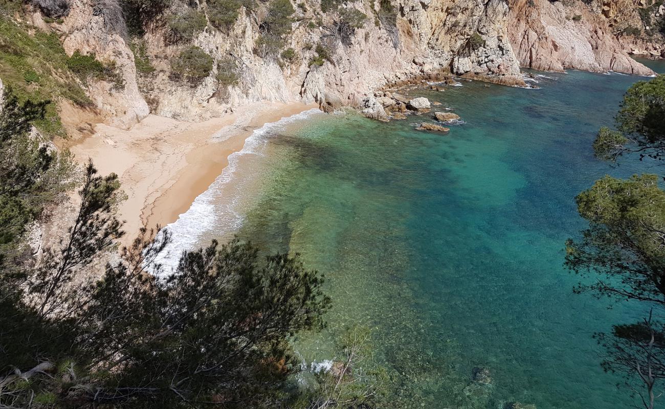 Фото Cala Futadera с золотой ракушечник поверхностью