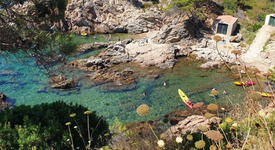 Cala dels Canyers