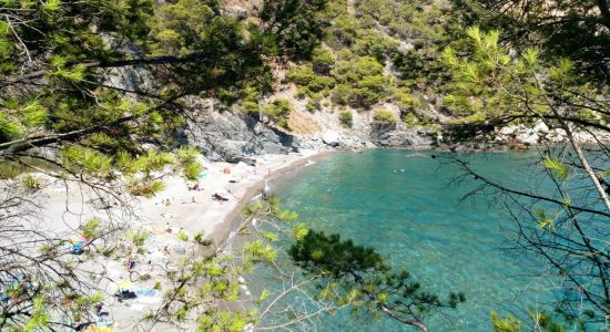 Platja Fonda