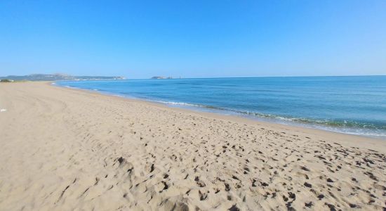 Platja del Grau