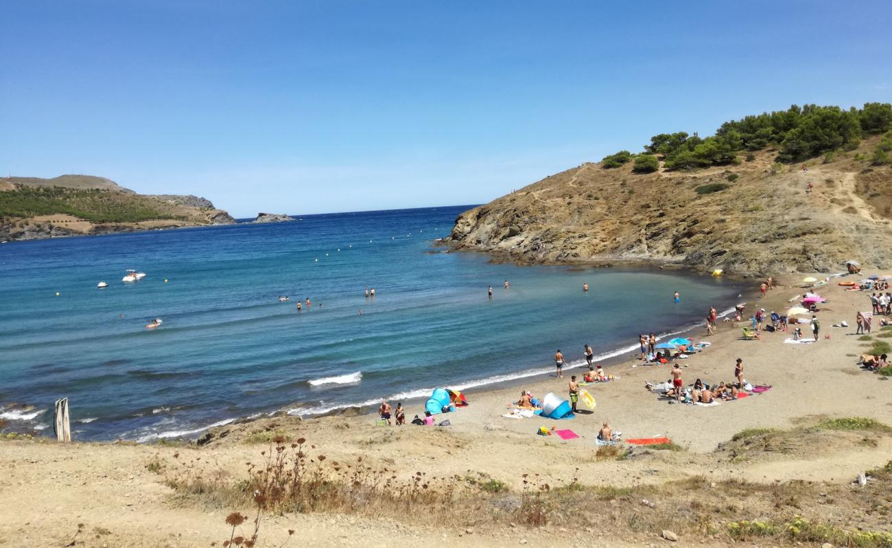 Фото Platja del Borro с песок с галькой поверхностью