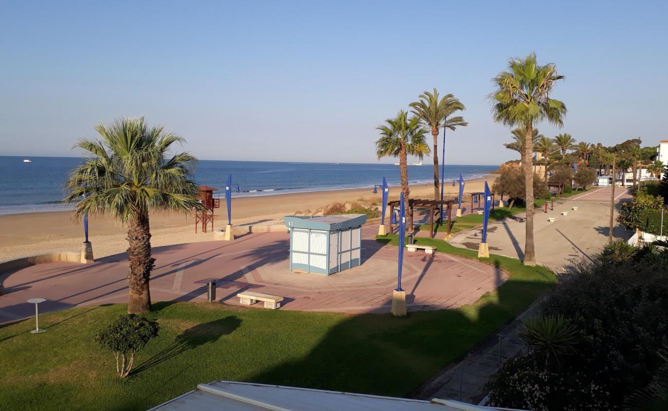 Фото playa de la barrosa с светлый песок поверхностью