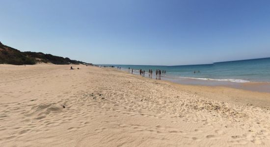 Playa del Puerco