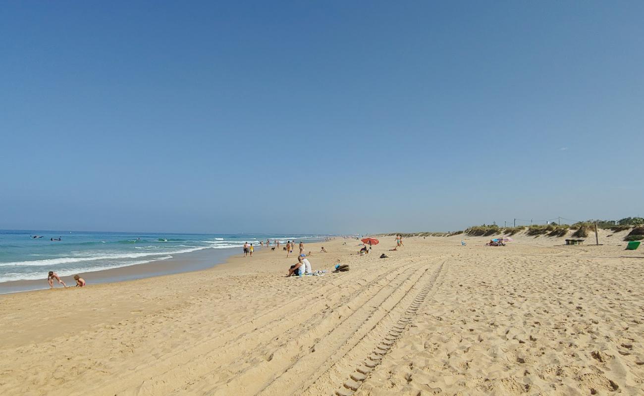 Фото El Palmar Beach с светлый песок поверхностью