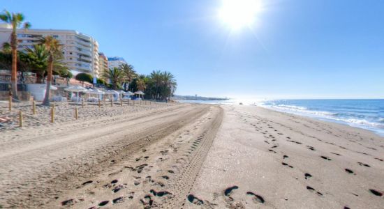 Playa de Venus