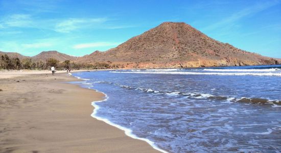 Playa de los Genoveses