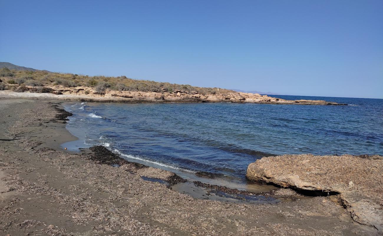 Фото Playa del Pocico del Animal с серый песок поверхностью