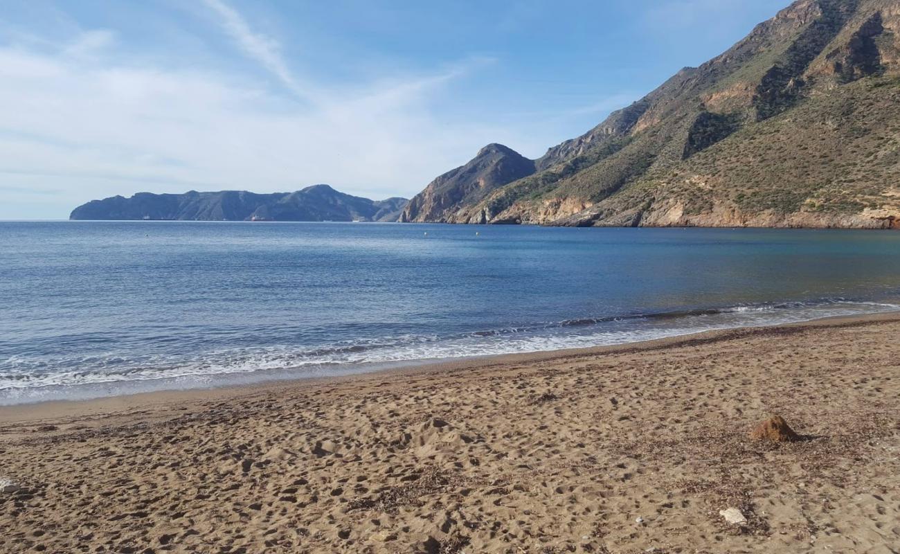 Фото Playa de la Morena с серый ракушечник поверхностью