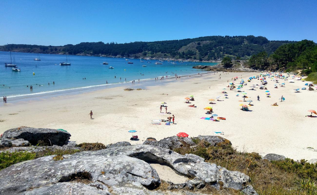 Фото Playa de Vino с золотистый песок поверхностью