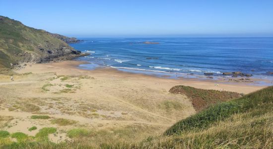 Playa de Carniciega