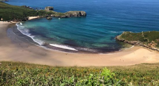 Playa de Torimbia