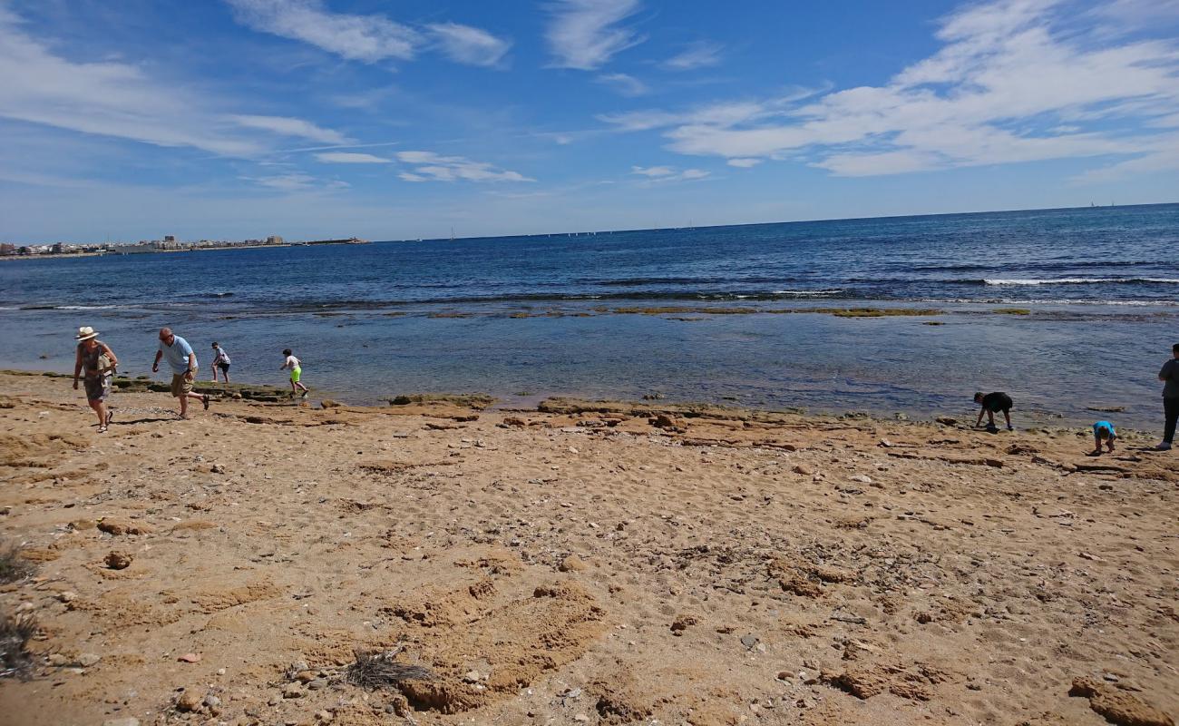 Фото Playa Torrevieja с камни поверхностью