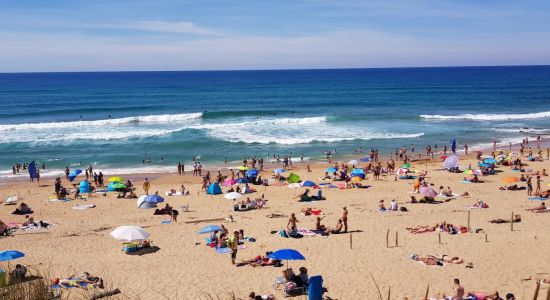 Playa De Valdearenas