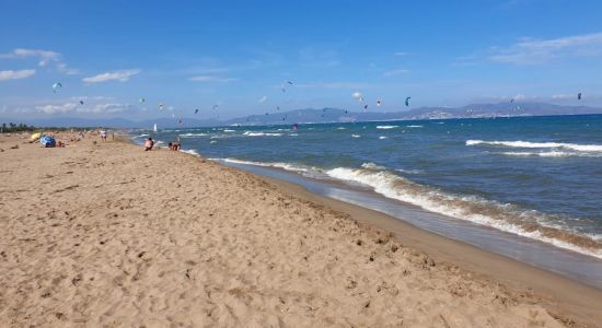 Platja de les Dunes