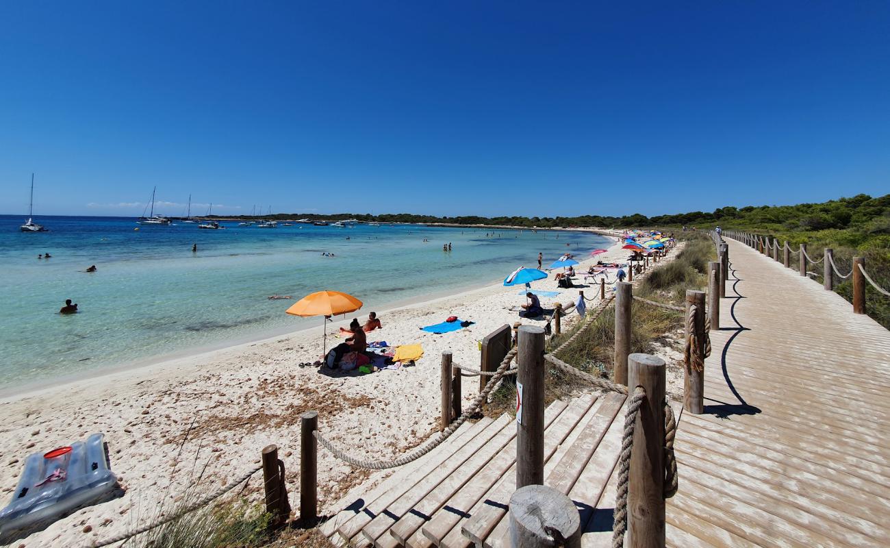 Фото Platja de Son Saura с светлый песок поверхностью