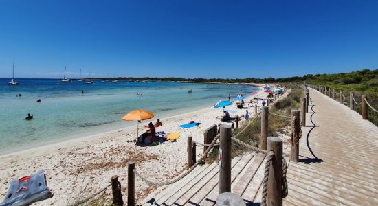 Platja de Son Saura