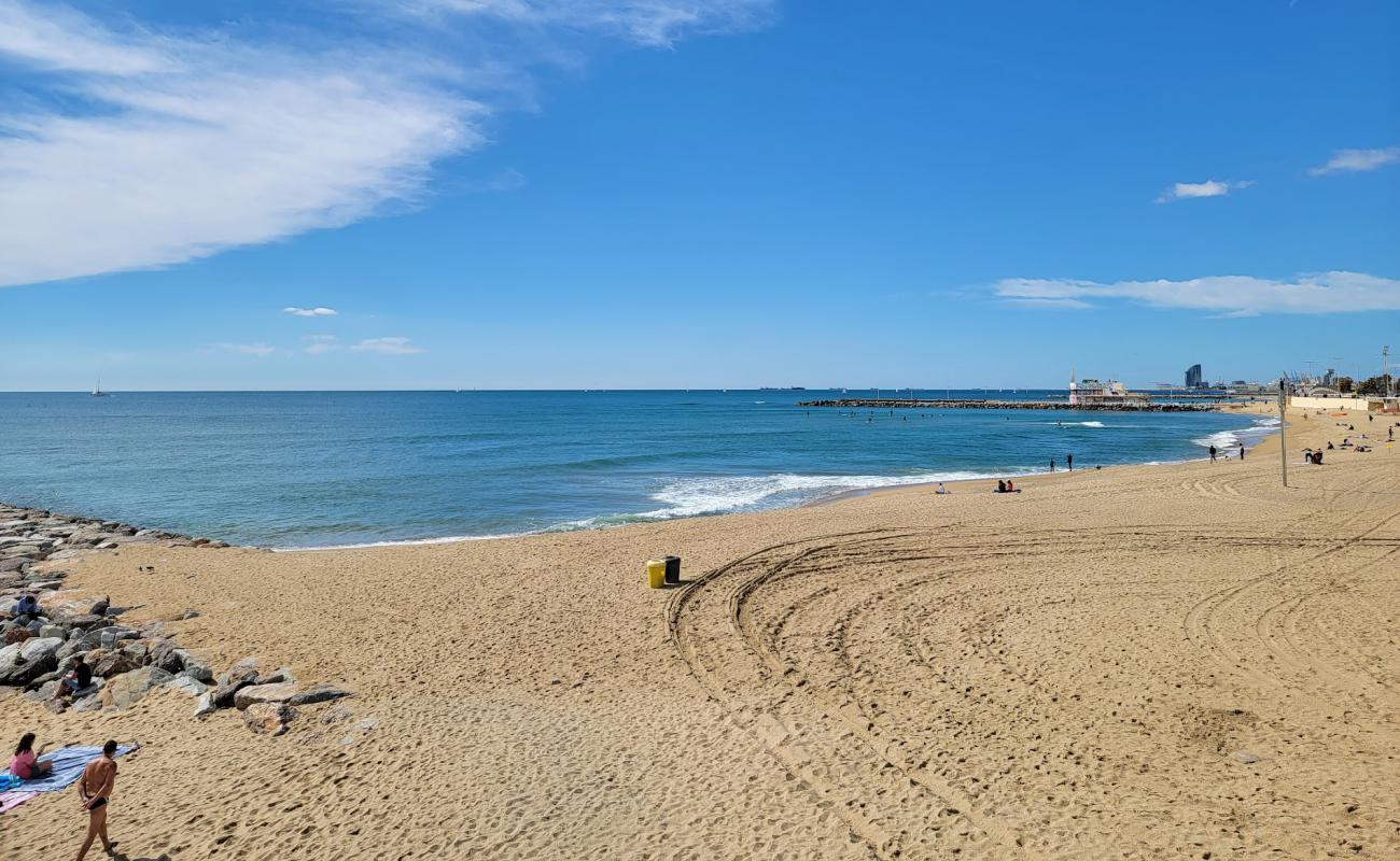 Фото Llevant Beach с светлый песок поверхностью