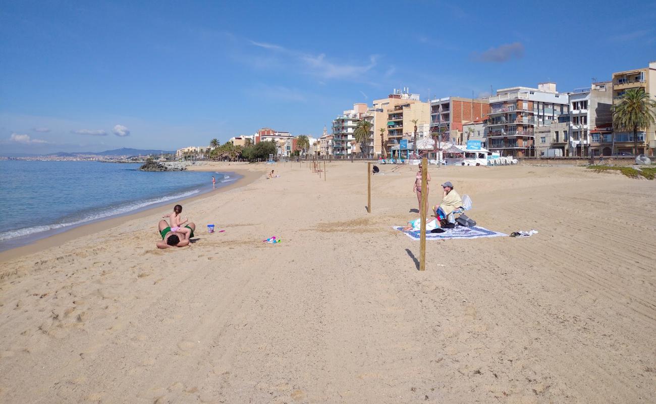 Фото Bellamar Beach с светлый песок поверхностью