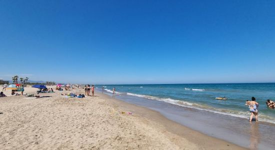 Platja Almarda