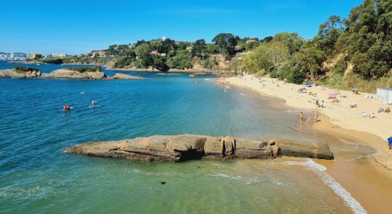 Playa de Espineiro