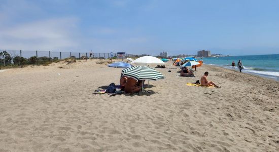 Playa nudista Guadalmar