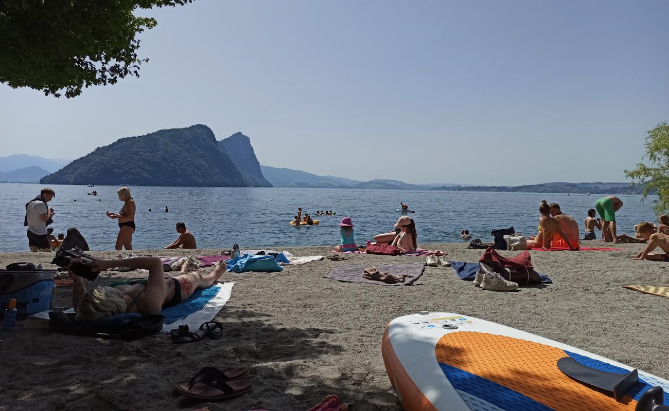 Фото Vitznau Beach с белая чистая галька поверхностью