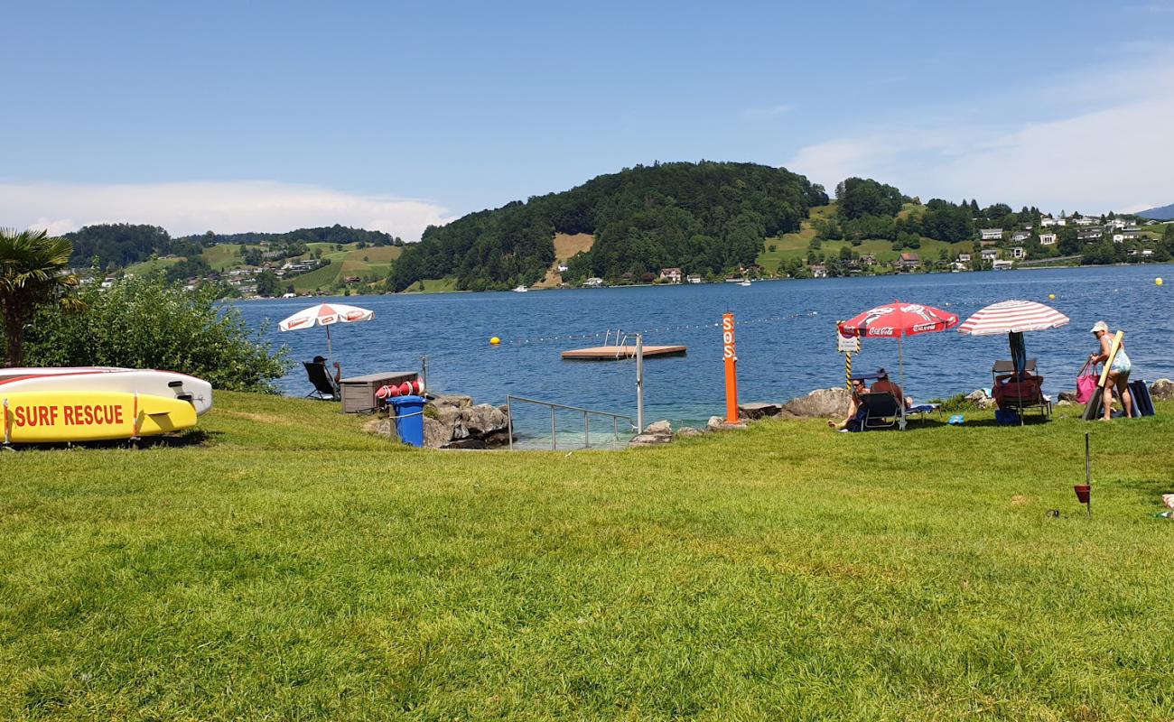 Фото Badi Hergiswil Beach с трава поверхностью