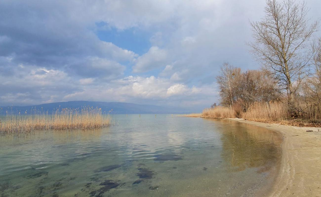 Фото Plage communale publique de Chabrey с светлый песок поверхностью