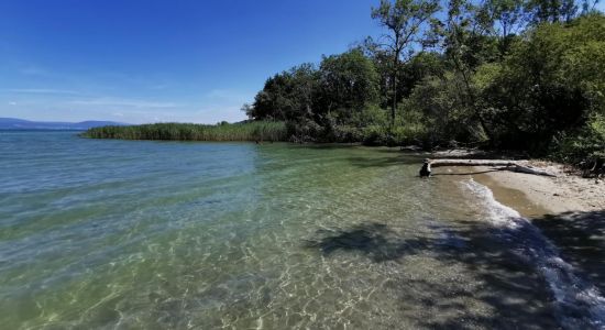 Plage de la Petite Amerique