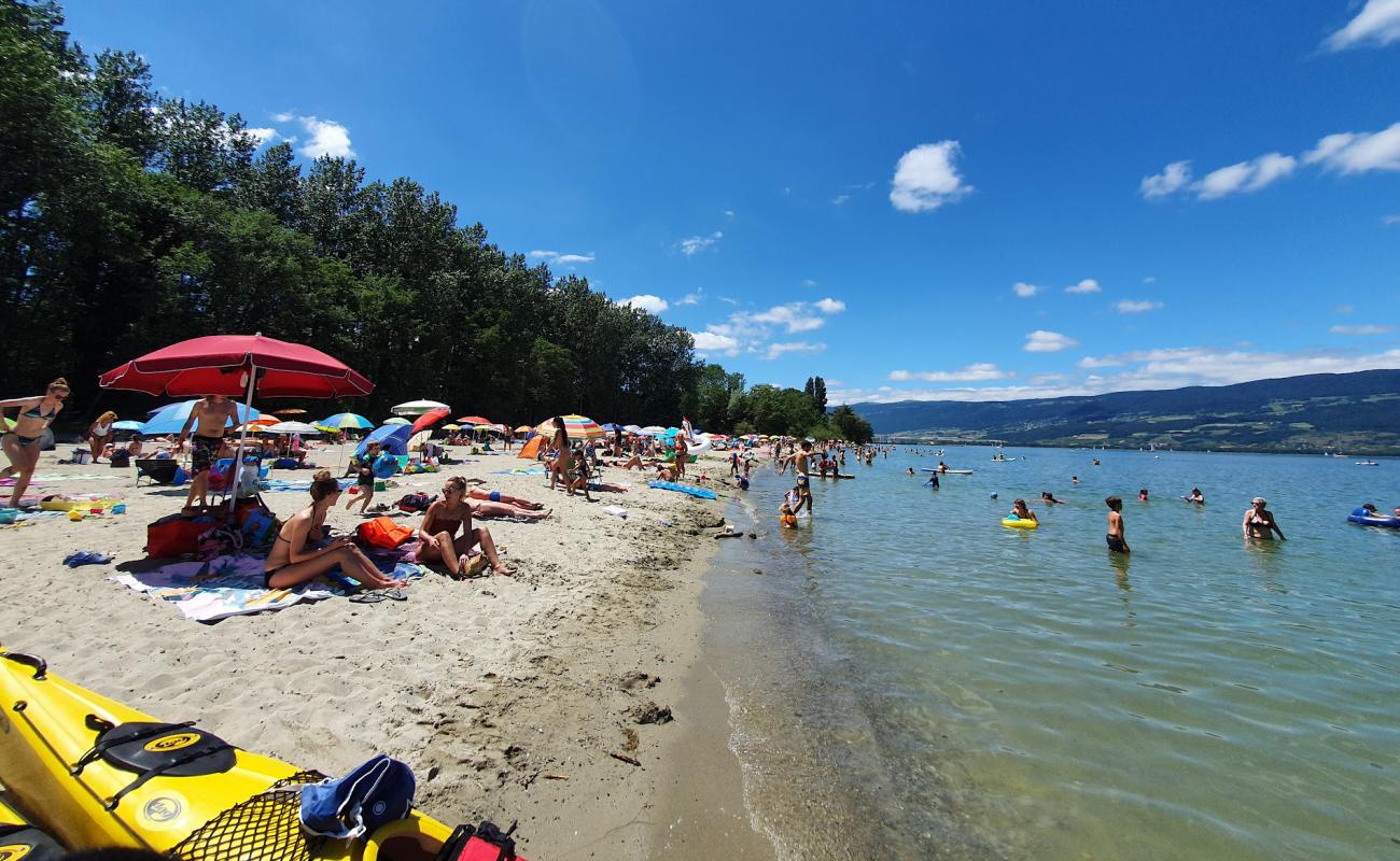 Фото Plage des Pins d'Yvonand с светлый песок поверхностью