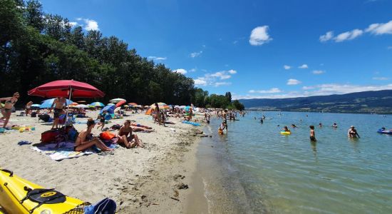 Plage des Pins d'Yvonand