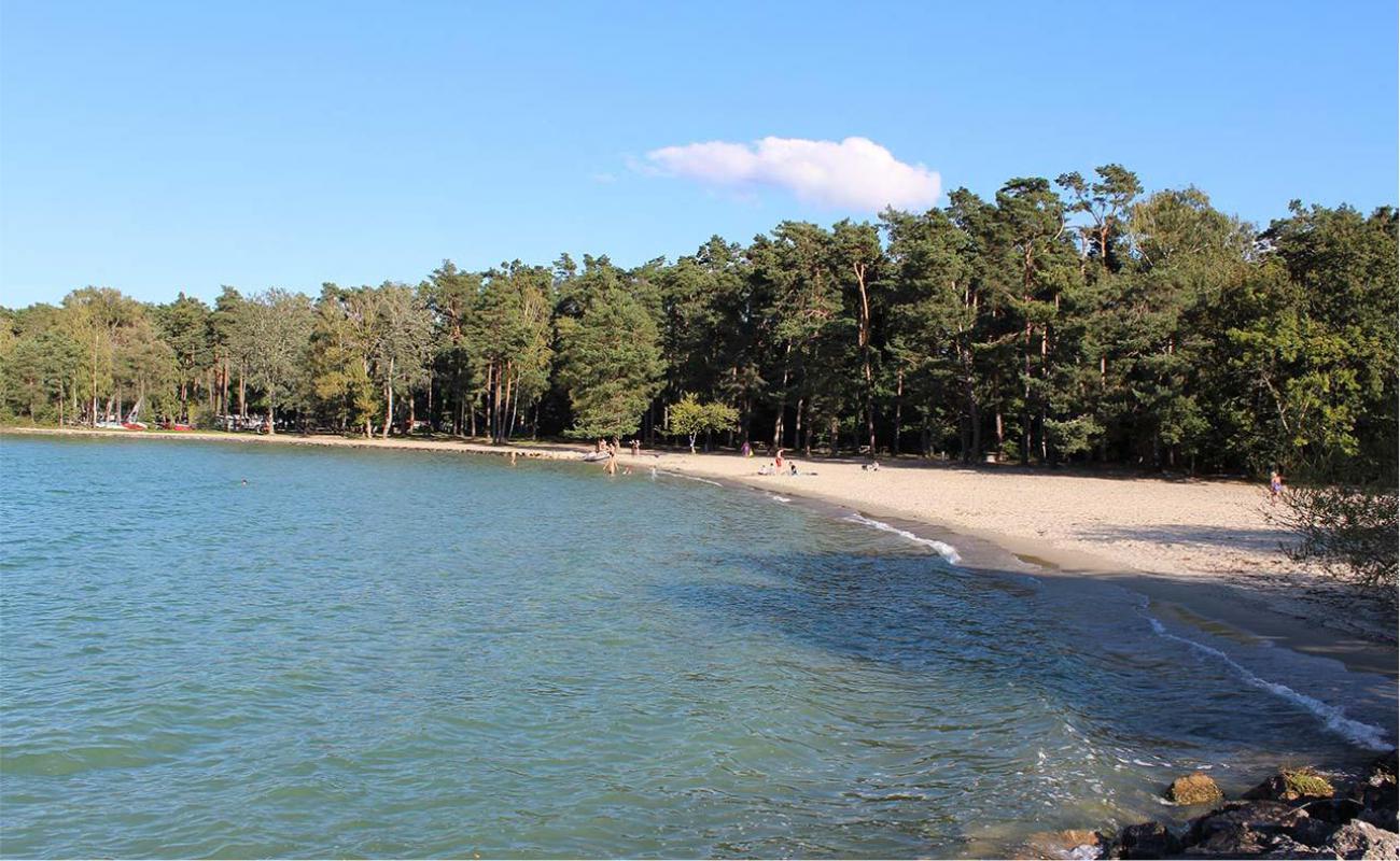 Фото Plage du Camping VD 8 с светлый песок поверхностью