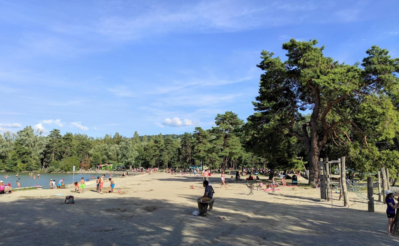 Фото Plage d'Yverdon-les-Bains с светлый песок поверхностью