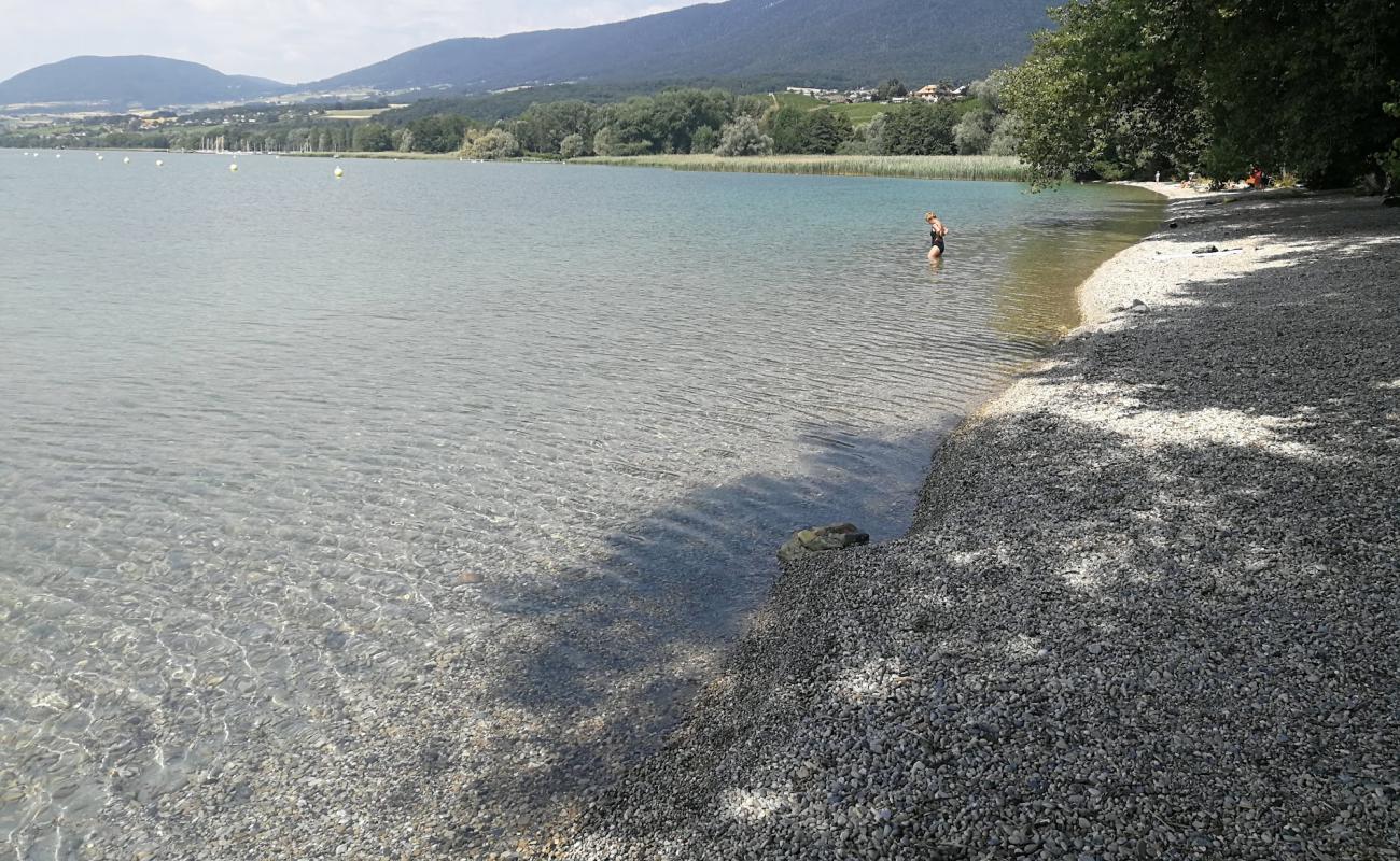 Фото Plage de la Pointe du Grain с серая чистая галька поверхностью